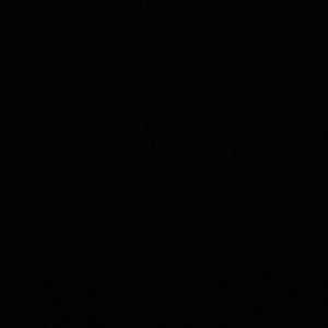 Meet your Posher, Catalina